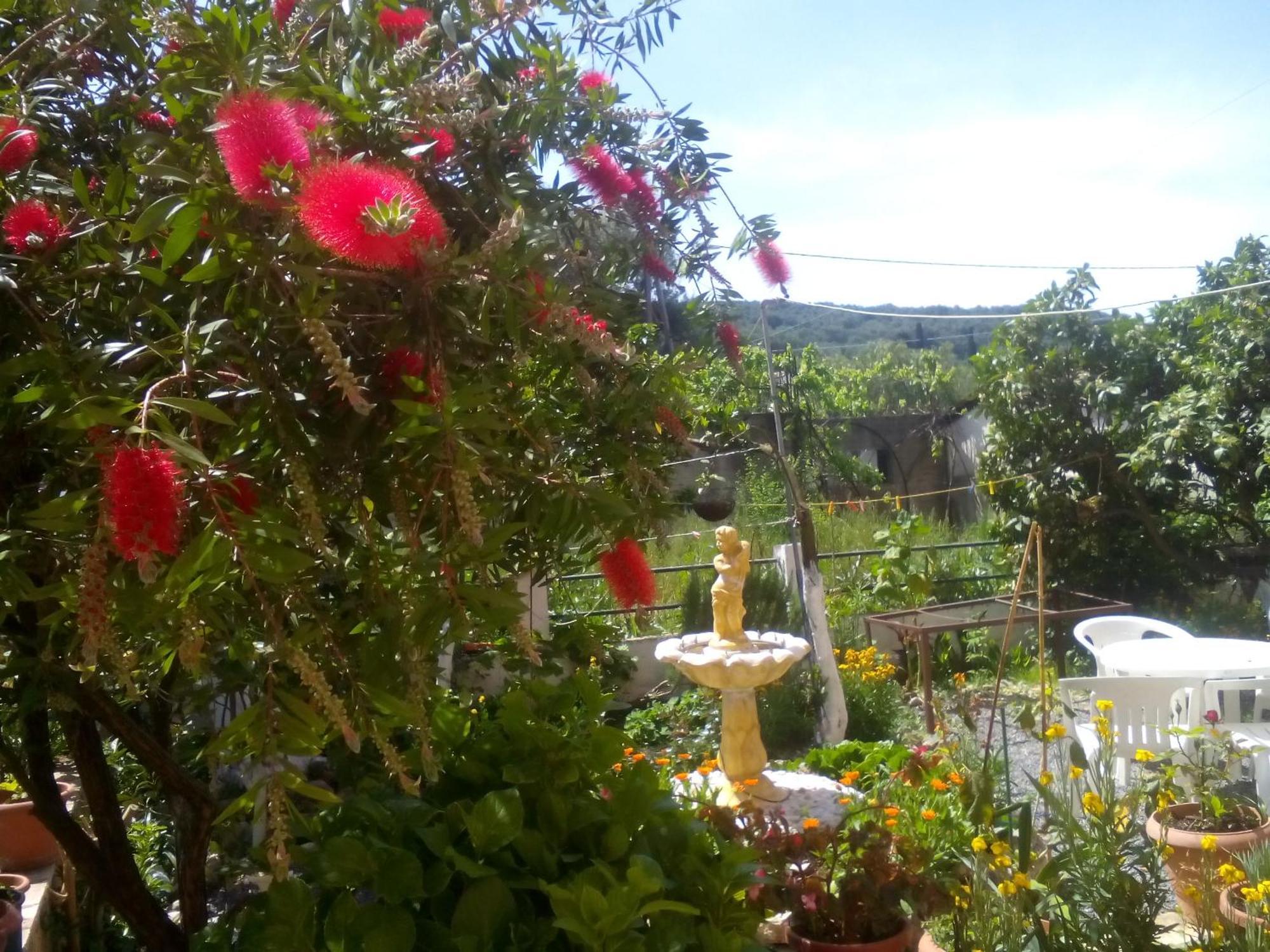 Paradise Studios Liapades Luaran gambar